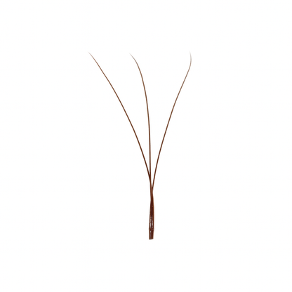 Professional Eyelash Extension - 3D Clover - D Curl - 0,07 - Mix - Mocha