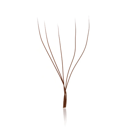 Professional Eyelash Extension - 5D Clover - C Curl - 0,07 - Mix - Mocha